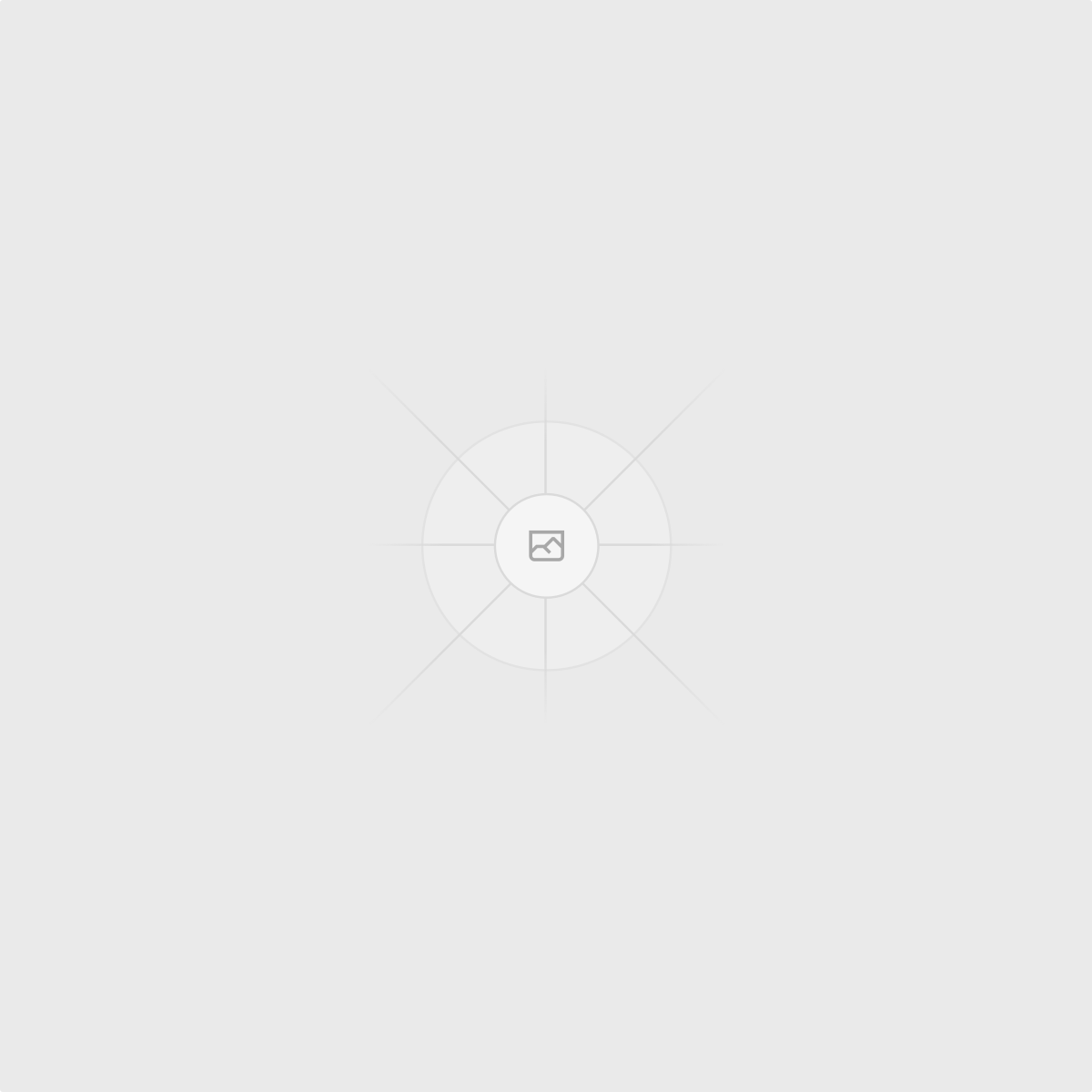 BMS Finanz Consulting logo mark